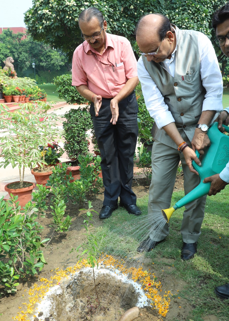 Hon’ble Lt. Governor planted Sandalwood Trees at Raj Niwas.