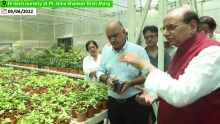 Honourable Lt. Governor visited Hi-Tech Nursery at Pt. Uma Shankar Dixit Marg on 05th June, 2022.